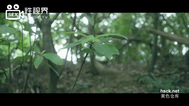 XSJ059 .温芮欣.奇淫三国之火烧吃逼.樯橹灰飞烟灭.性视界传媒